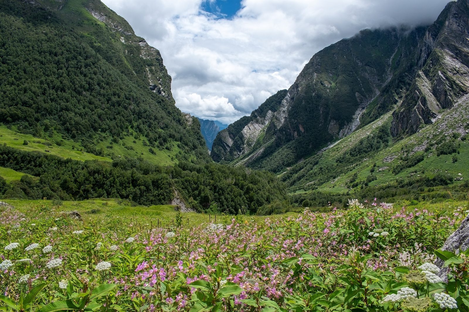 Himalayan switchbacks